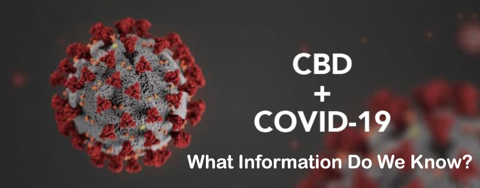 CBD-Cannabidio-Coronavirus-Covid-19-Facts